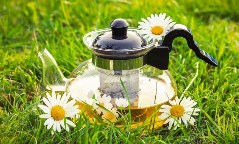 Chamomile Tea Benefits